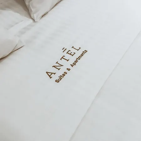 アパート Antel & *